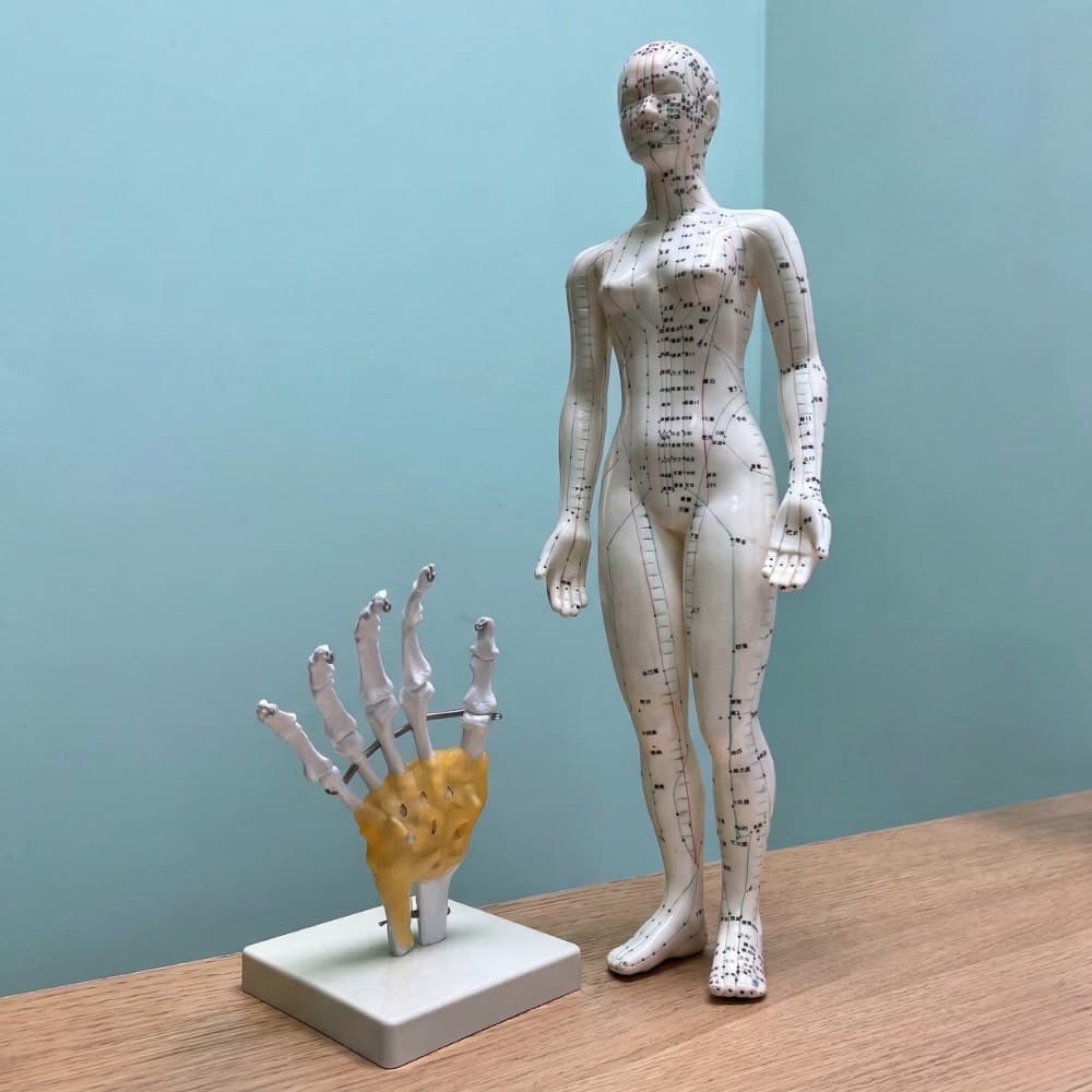 承志中醫診所中藥藥櫃